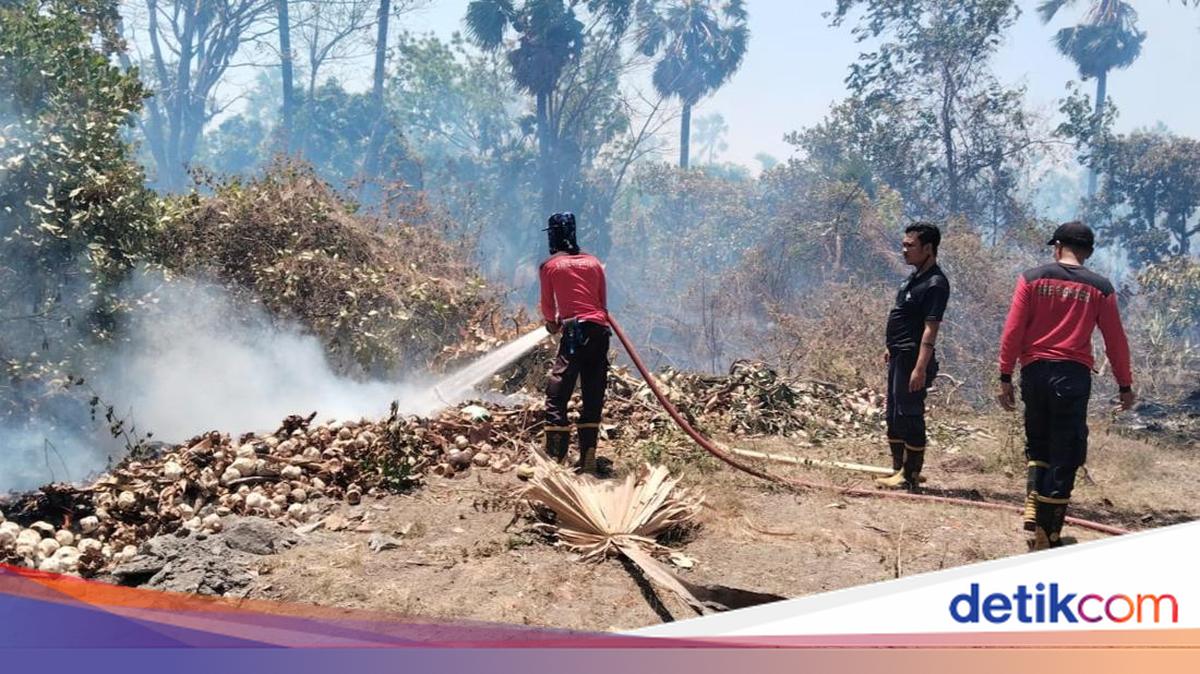 Shortage of Personnel and Fleet Leaves Karangasem Firefighters Overwhelmed