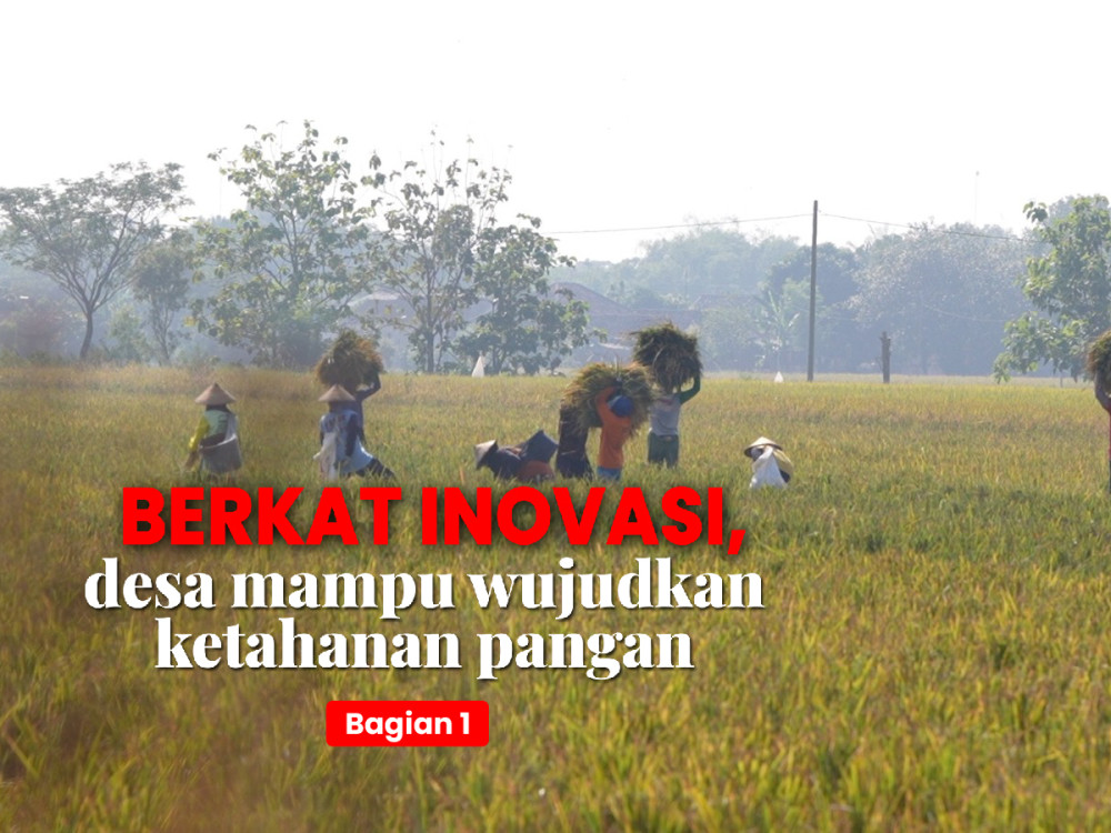 Through innovation, villages are able to achieve food security (part 1)