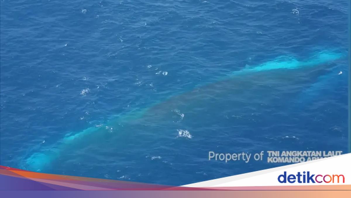 Three Bodies Successfully Evacuated from Sunken KM Virgo