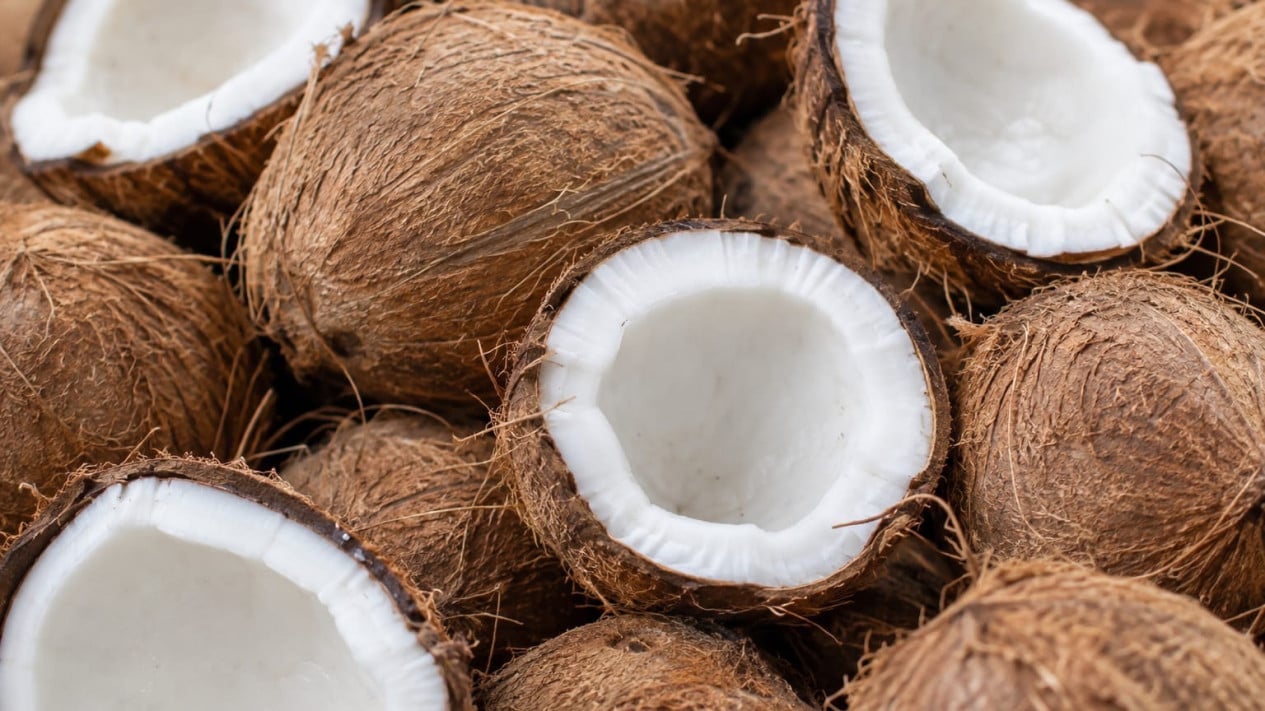 Global Coconut Demand Rises, Indonesian Processing Industry Accelerates Expansion