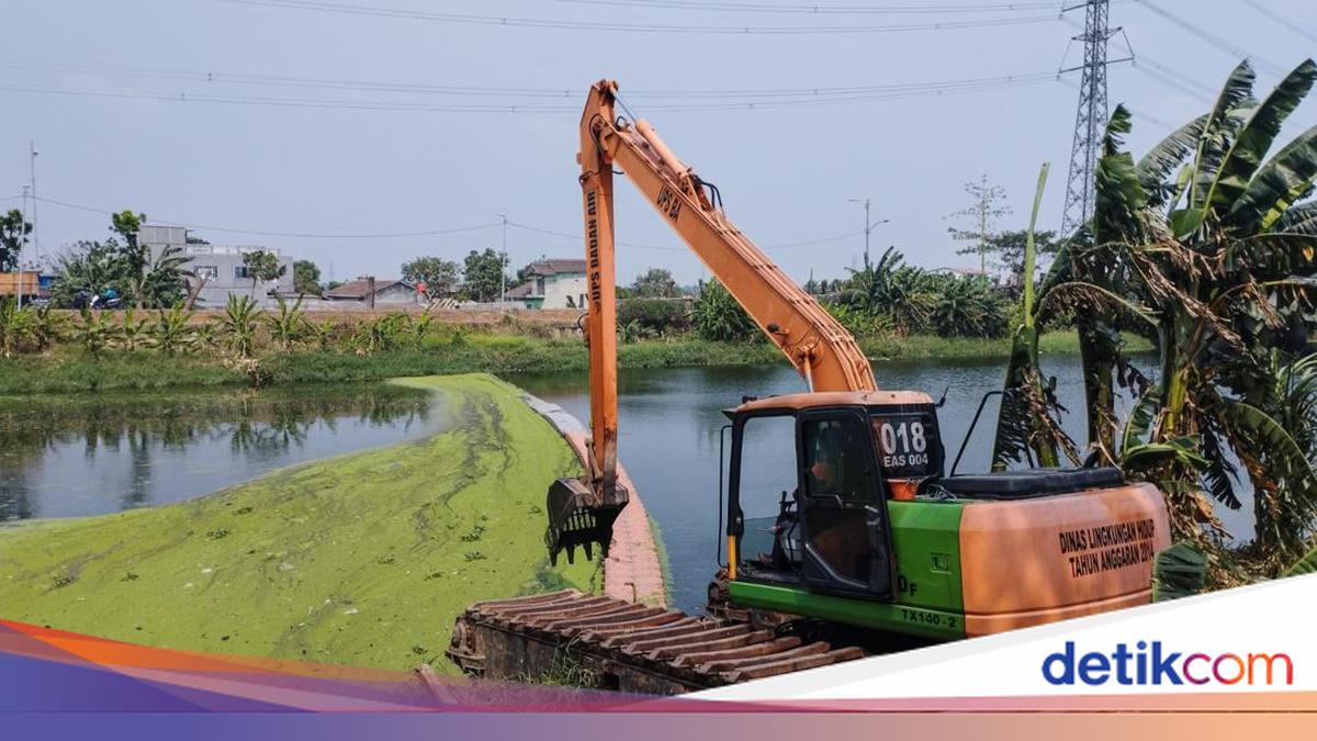East Flood Canal Flows Green Like Matcha; Here is the Cause