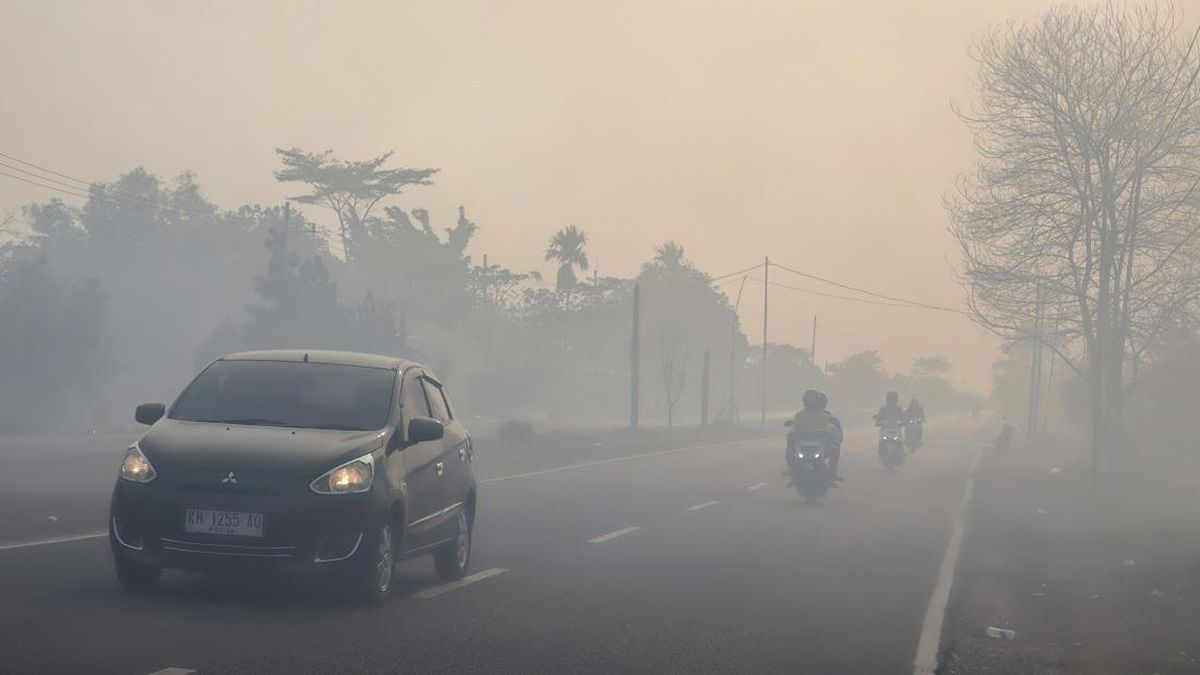 Palangka Raya Air Quality Reaches Hazardous Black Category Due to Forest Fires