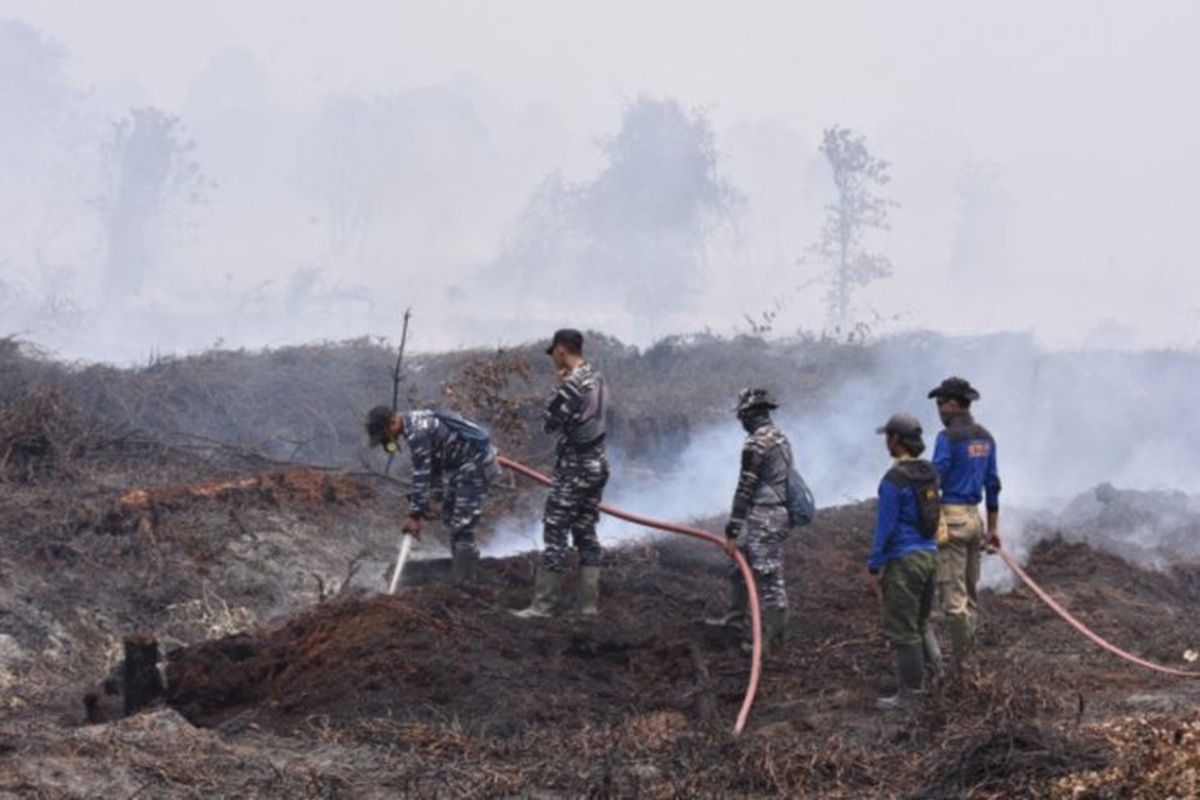 Forest Fires in West Kotawaringin Threaten Masoraian Community Forest