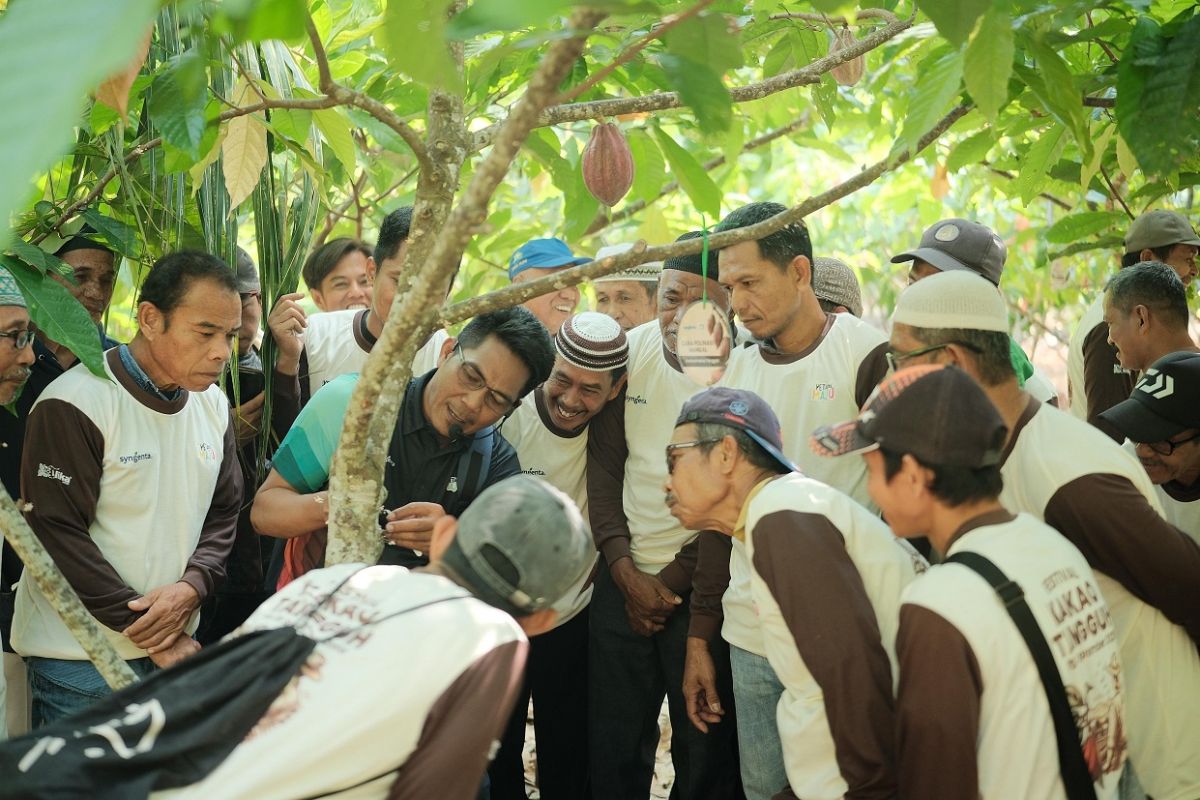 Syngenta supports the development of sustainable and productive cocoa cultivation