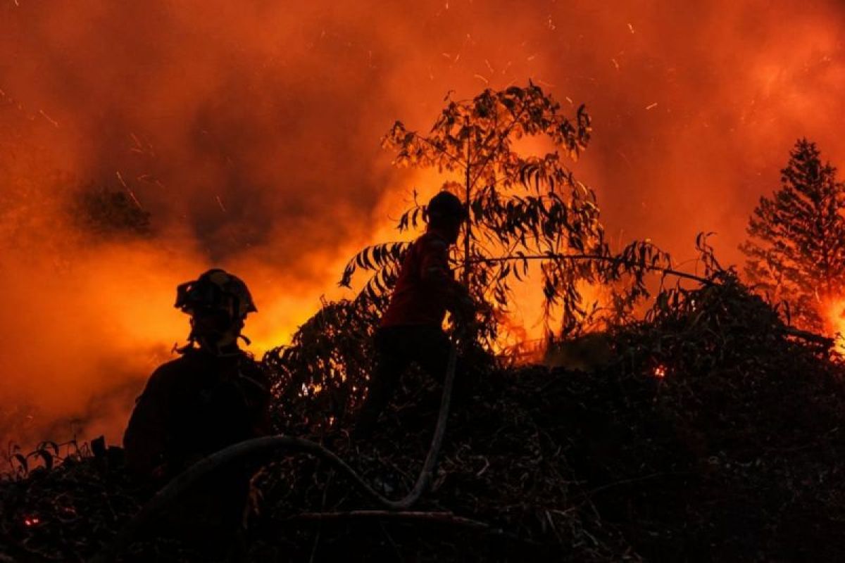 Joint personnel and water bombing helicopter deployed to extinguish peatland fires in Jambi