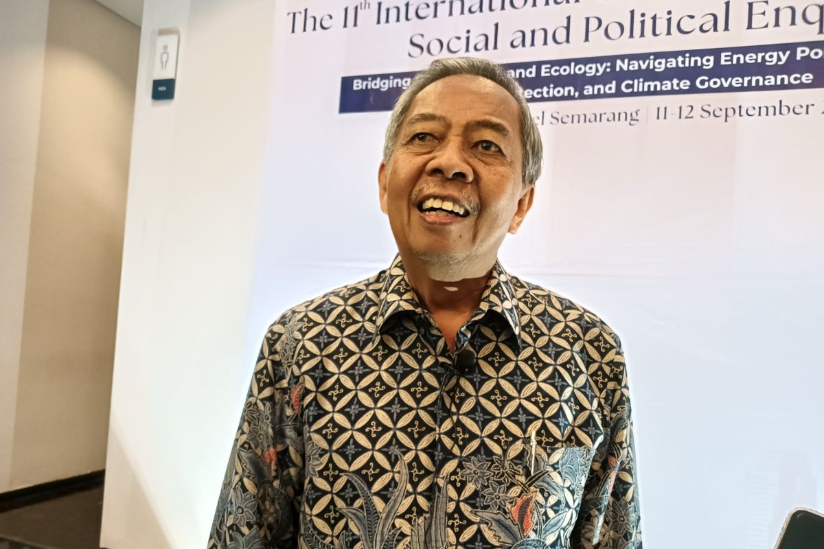 Expert: Gunung Ungaran Geothermal Project Must Ensure Transparency