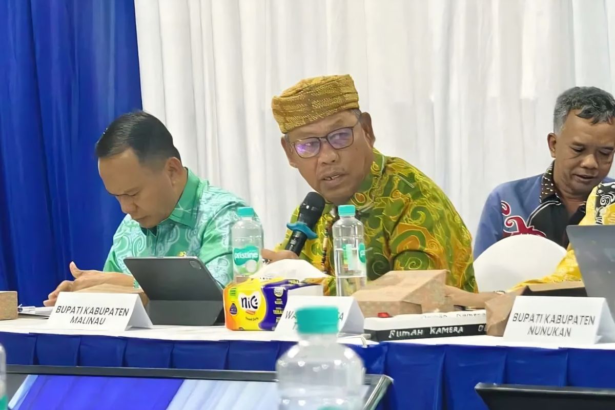 Malinau Regency Proposes Electricity Expansion for Remote and Border Areas