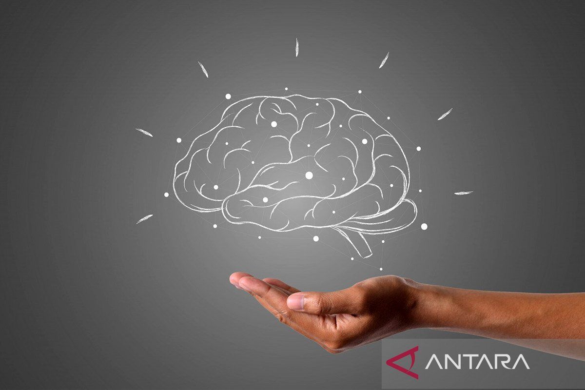 Study: Mastering more languages tends to slow brain ageing