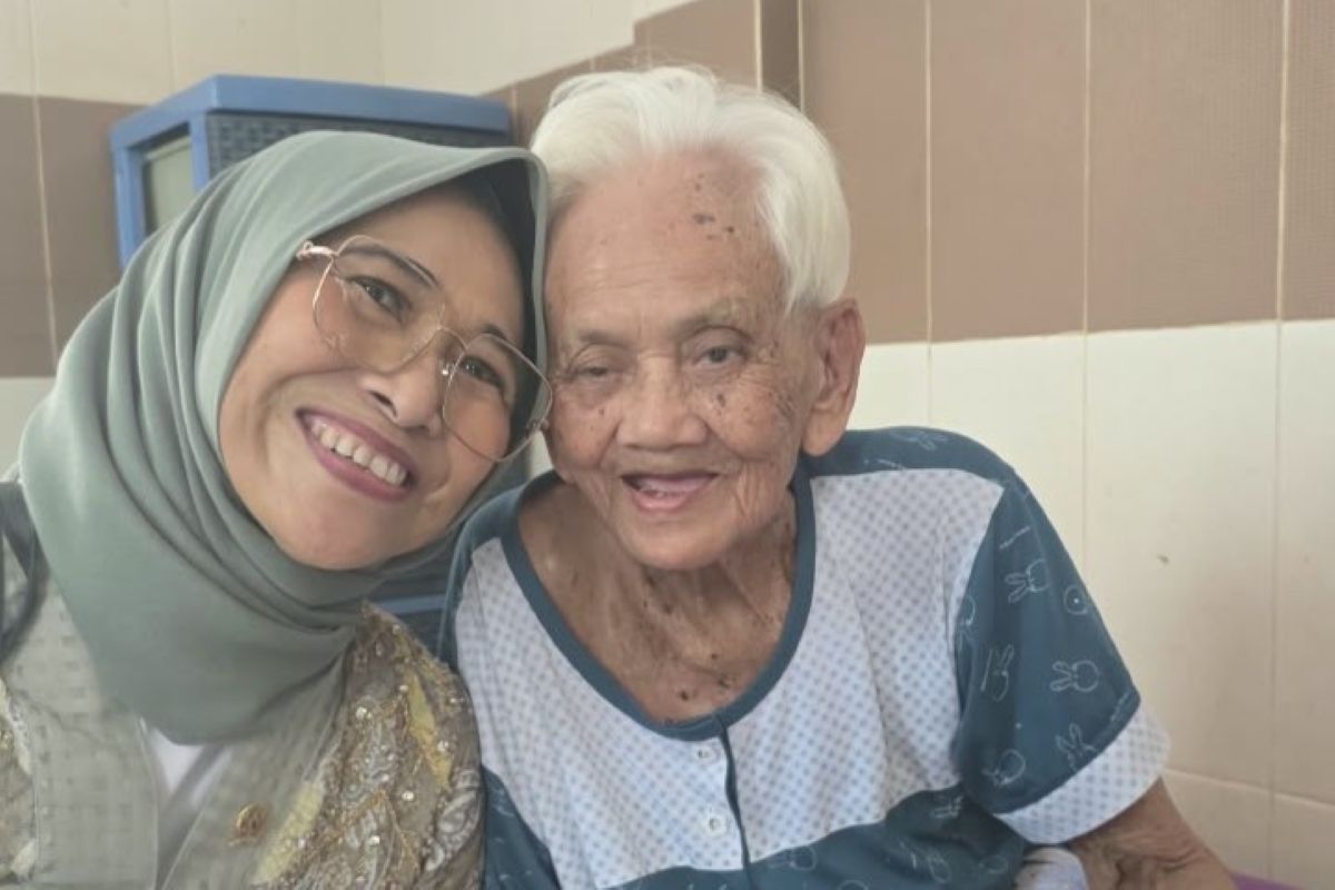 Lawmaker pushes for the development of a comprehensive elderly protection system