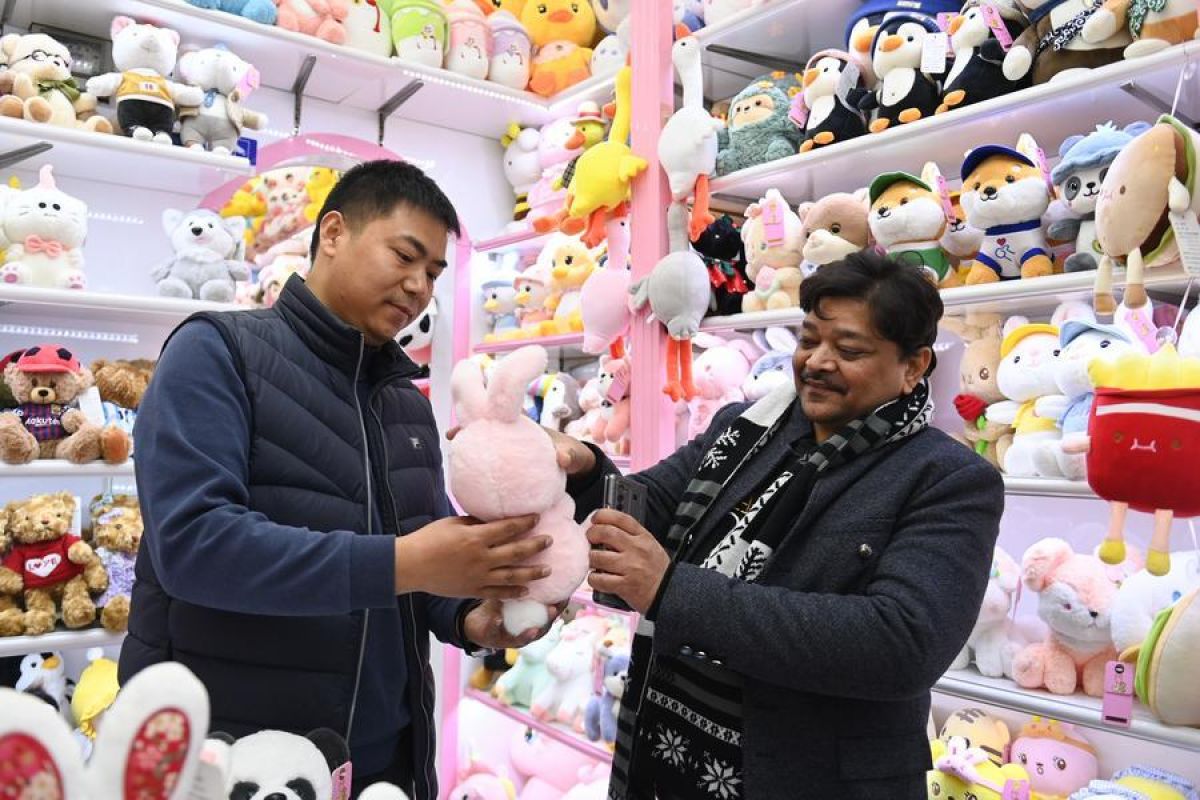 South African Expert: China's BRICS Presidency Will Further Deepen Cooperation