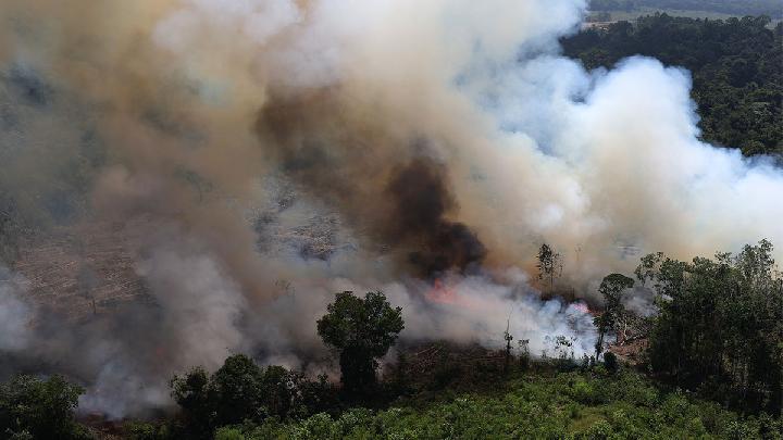Why Government Should Watch for Potential Chaos in Kalimantan
