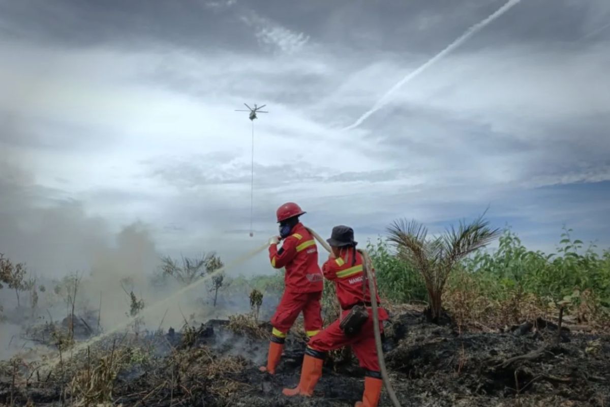 Riau deploys three 'waterbombing' helicopters to extinguish forest and land fires