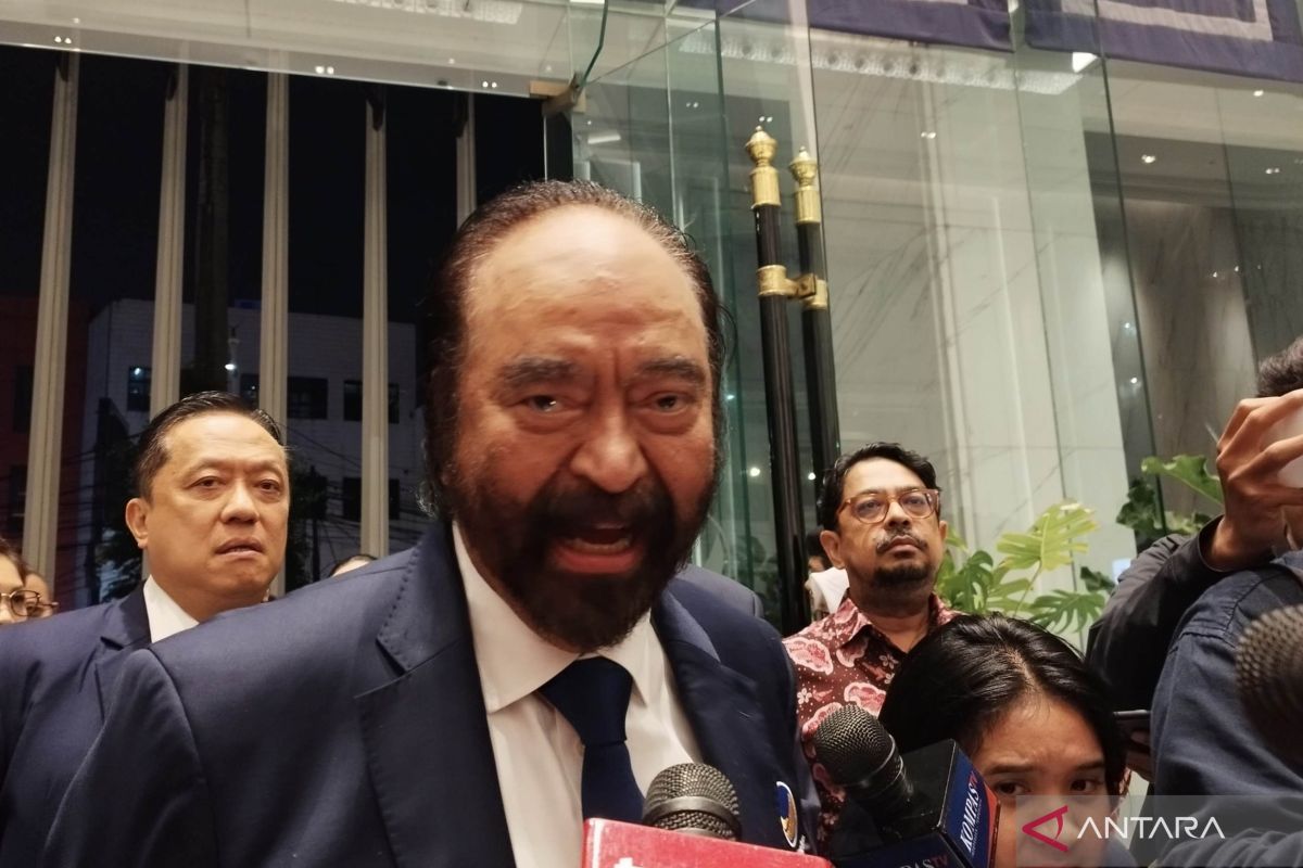Surya Paloh proposes 7 per cent parliamentary threshold