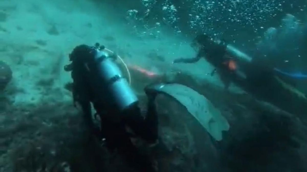Basarnas Deploys 12 Additional Divers to Search for KM Virgo 8 Victims