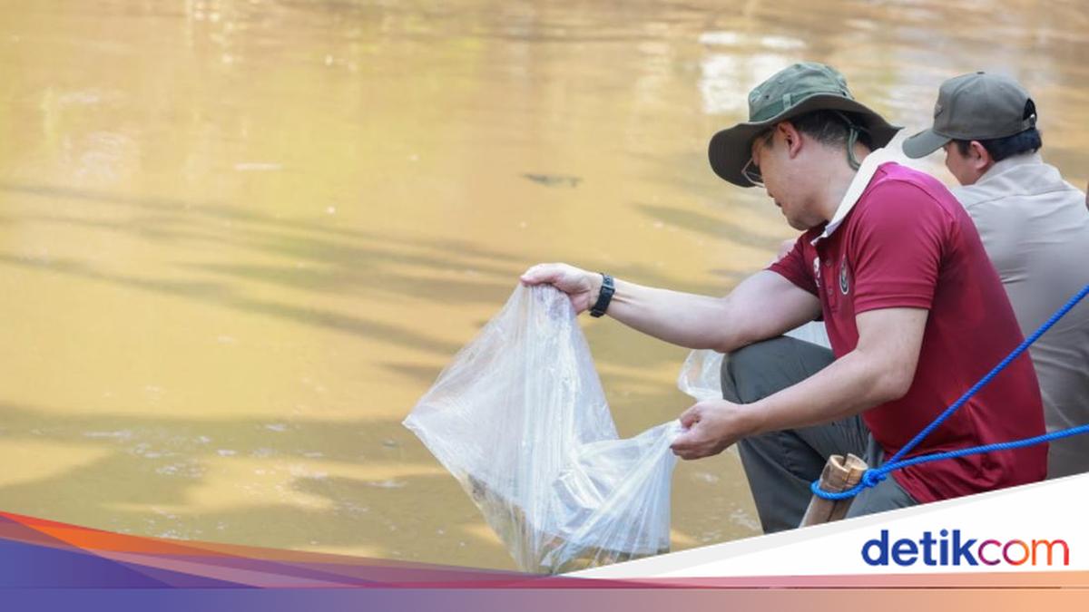 Supporting the ASRI Programme: Gerindra Plants Trees and Cleans Rivers in Jakarta