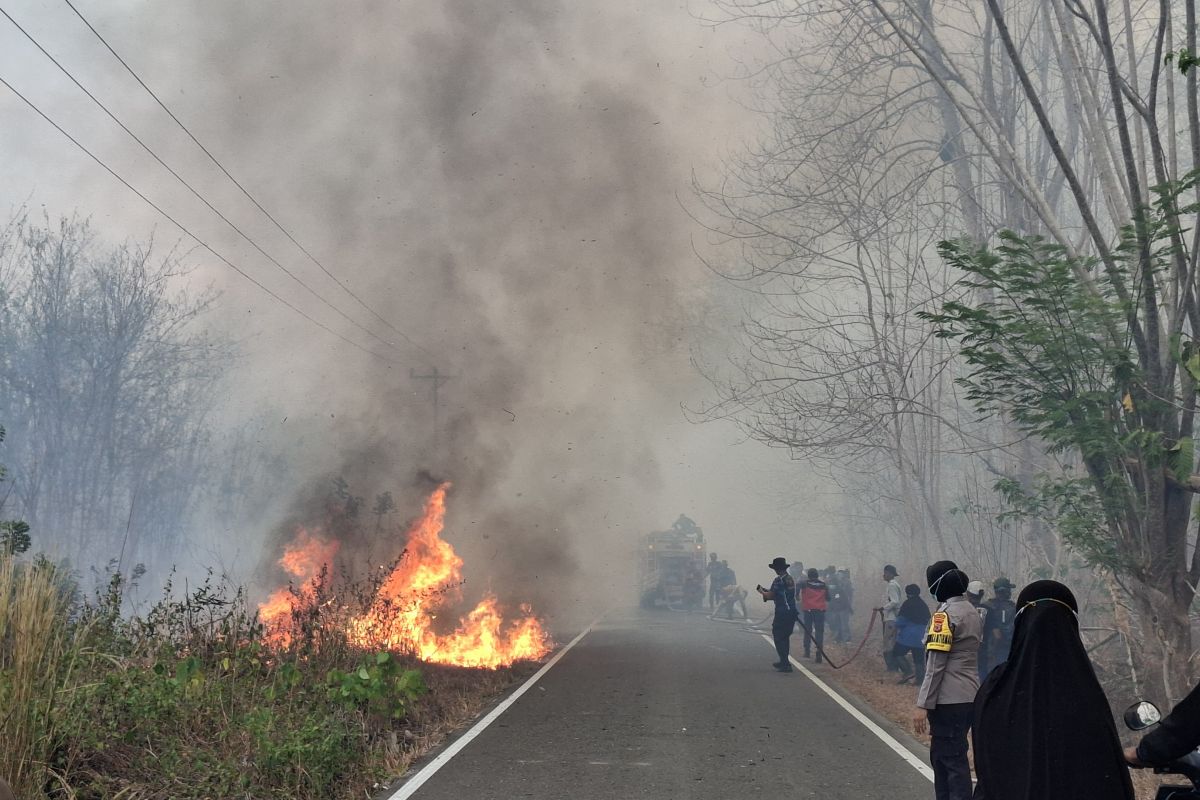 Observer: Law Enforcement for Forest Fires Must Not Stop at Individuals
