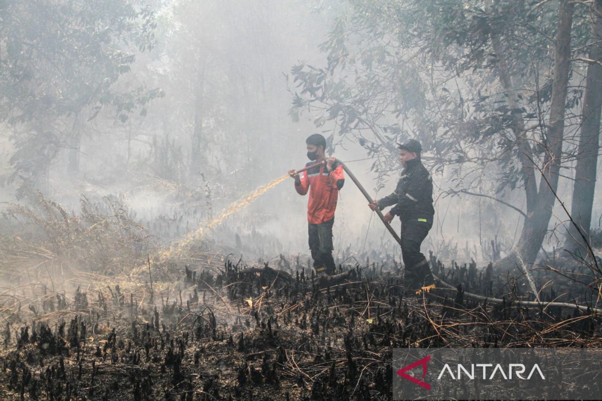 Fact Check: Malaysia Reports Indonesia to the UN Over Forest Fire Haze