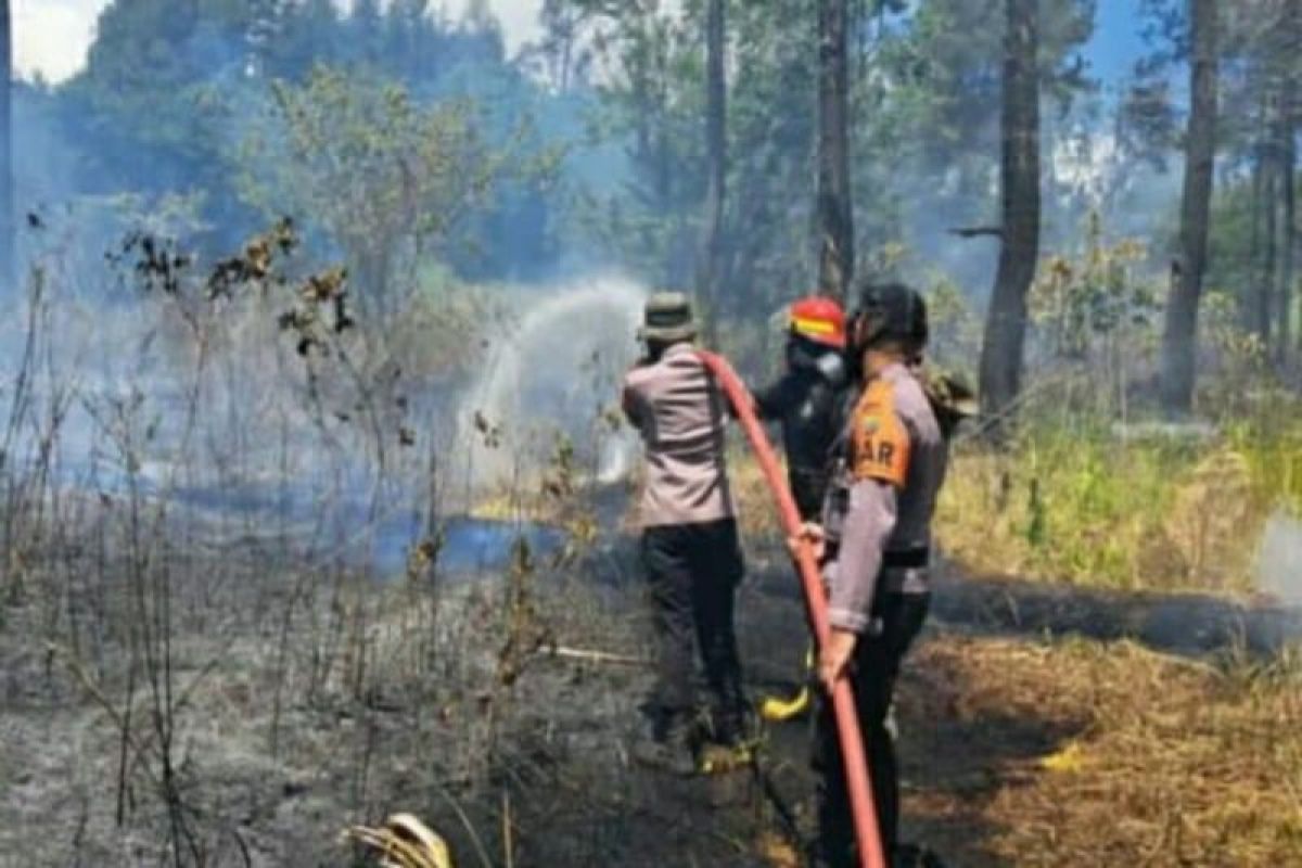 BNPB: Ground-based watering successfully extinguishes forest fires in Mamuju & Minahasa