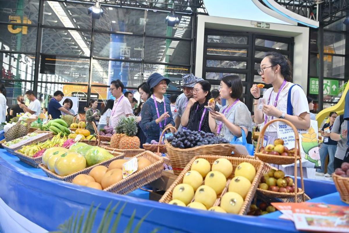 China-ASEAN Cooperation Gains Stronger Momentum