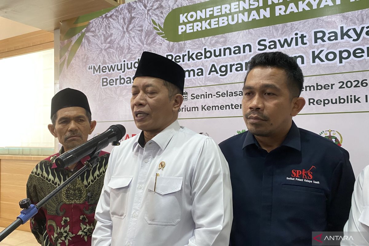 Palm oil farmers state investment for mini CPO mills reaches Rp40 billion