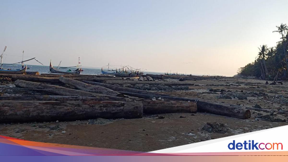 Hundreds of Logs Stranded on Sumenep Coast