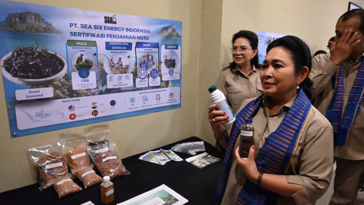 Seaweed Only Exported Raw, Titiek Soeharto Calls for Downstreaming to Final Products
