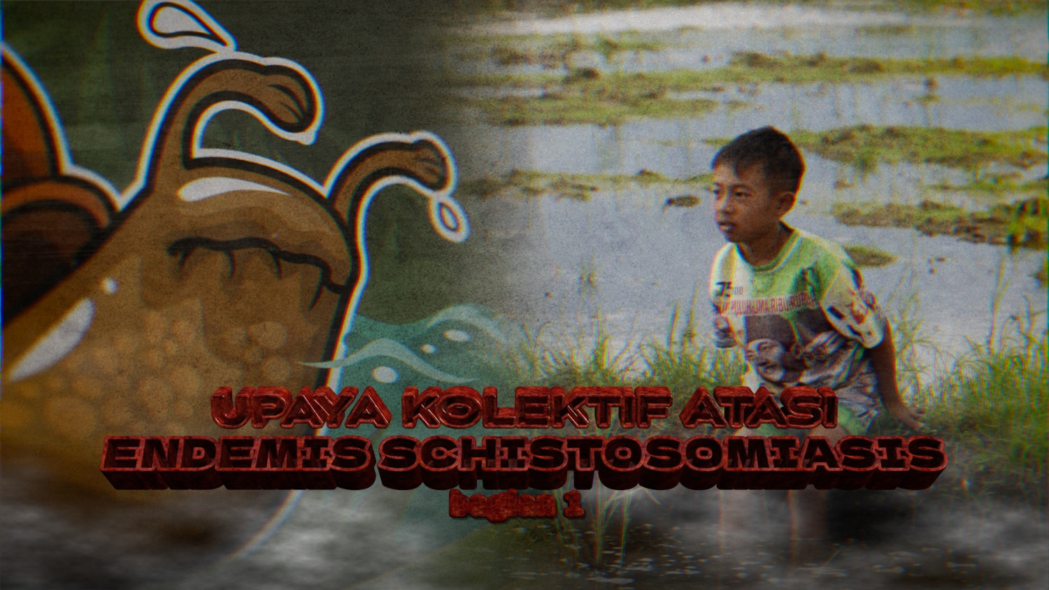 Collective efforts to overcome endemic schistosomiasis (part 1)