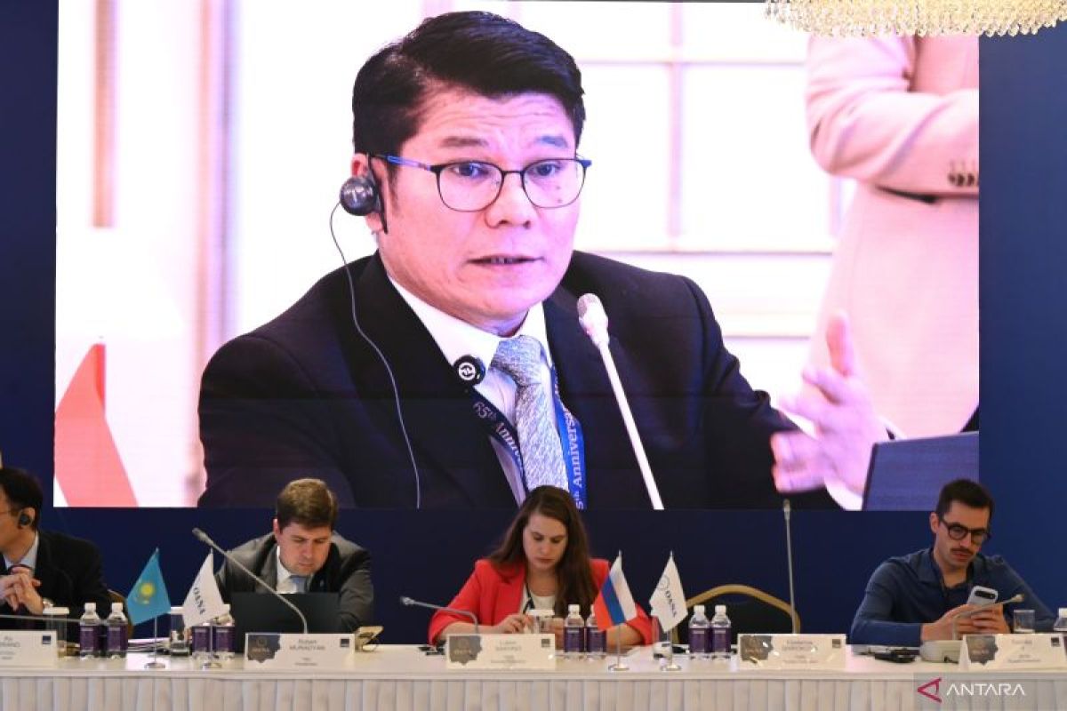 OANA urged to establish joint fact-checking to combat disinformation
