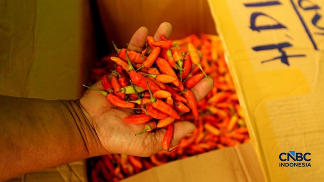 Bird's Eye Chilli Prices Surge Nationally, Ministry of Agriculture Provides Unexpected Response