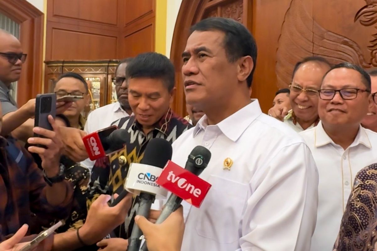 Indonesia prepares 2 million hectares for bioethanol