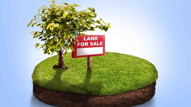 Agrarian Reform Law: Government to Regulate Maximum Land Ownership Limits