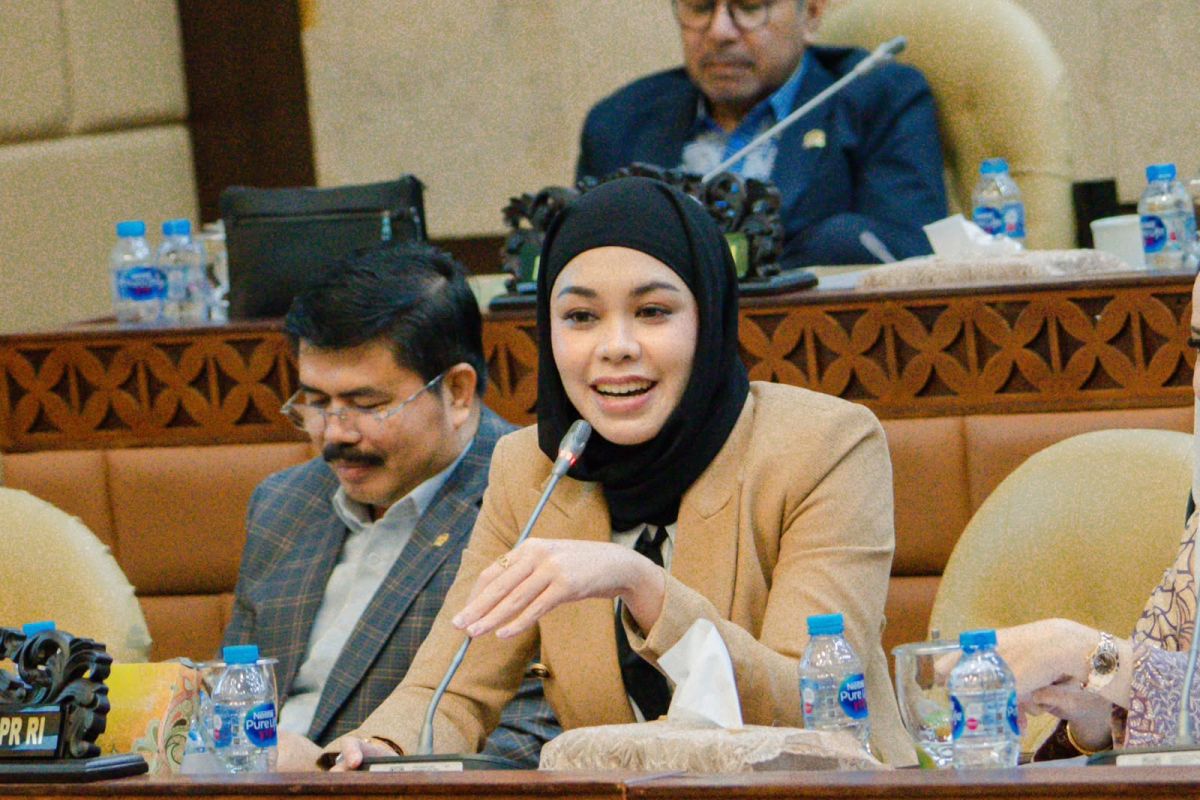 MP states citizen safety must be priority following Solok disaster