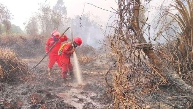 Prabowo Orders Raja Juli to Target Large Entities; Five Permits Revoked