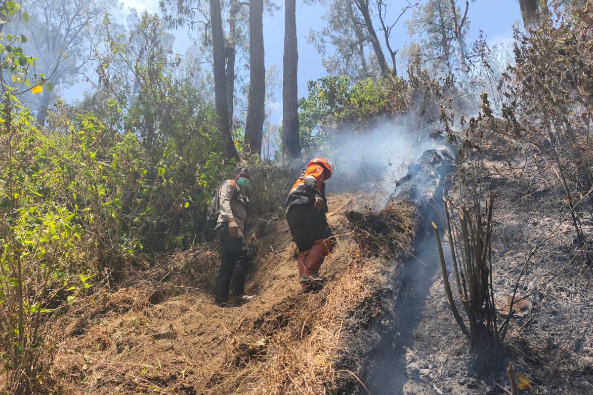 Perhutani Confirms Fire at Mount Butak Fully Extinguished