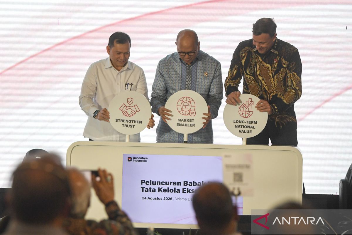 DSI: Between a New Power and Export Risks
