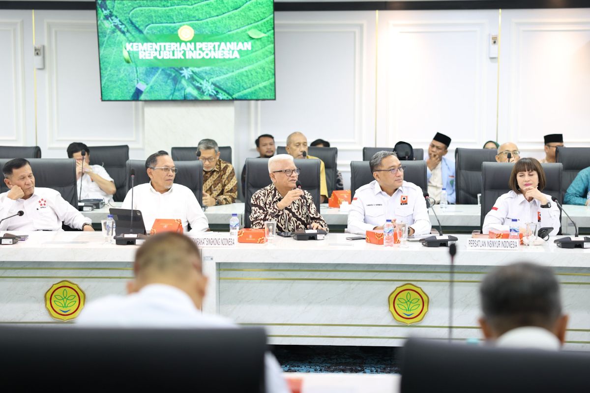 MSI: Stop Cassava Imports to Boost Prices and Open Bioethanol Market
