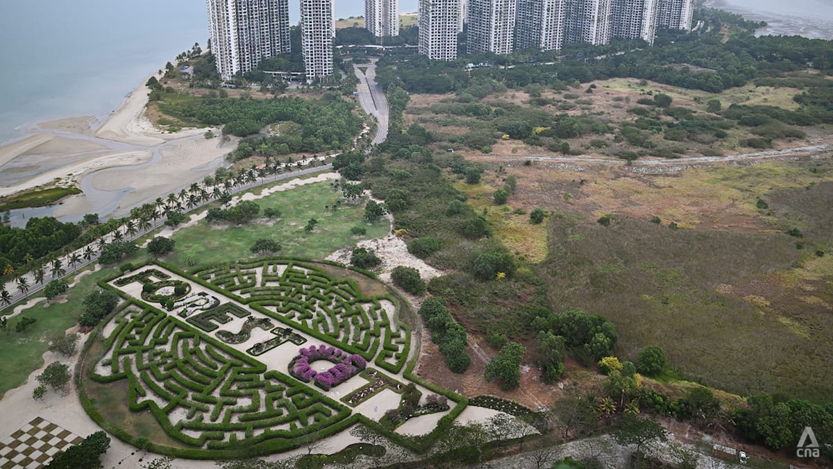 Johor Forest City Faces Scams And Enforcement Actions