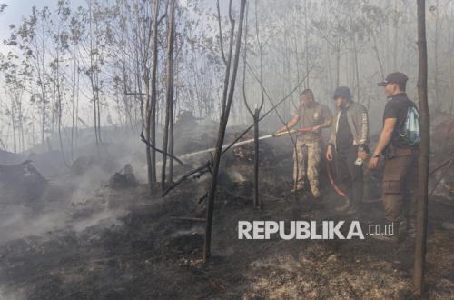 National Forest and Land Fire Hotspots Increase by 228 Points