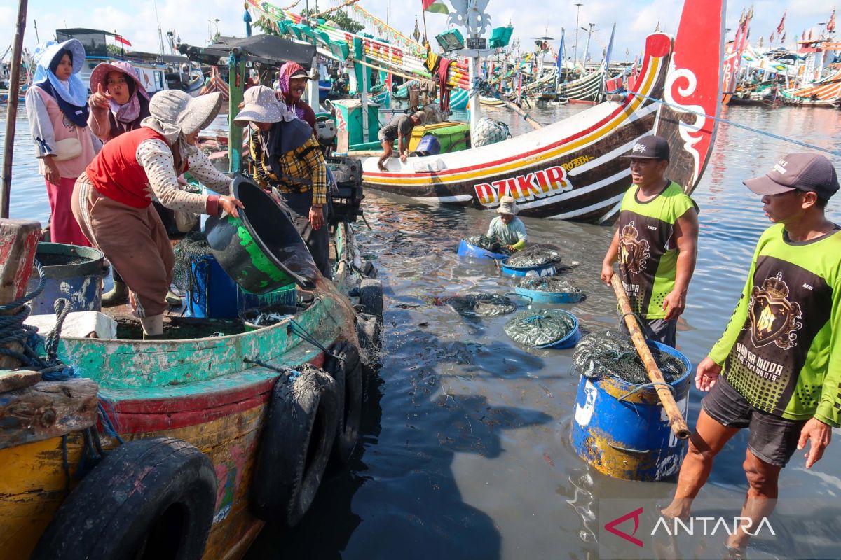 KNTI Urges Integrated Cold Chain System from Sea to Market