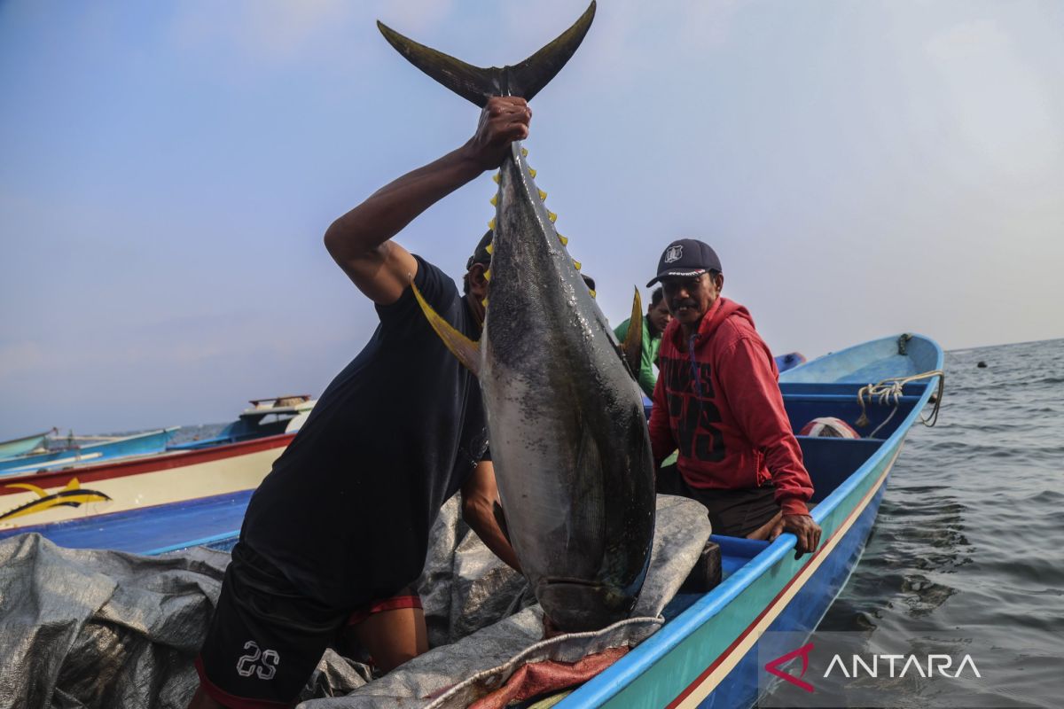 KNTI states cold chain can help stabilise fish prices for fishermen
