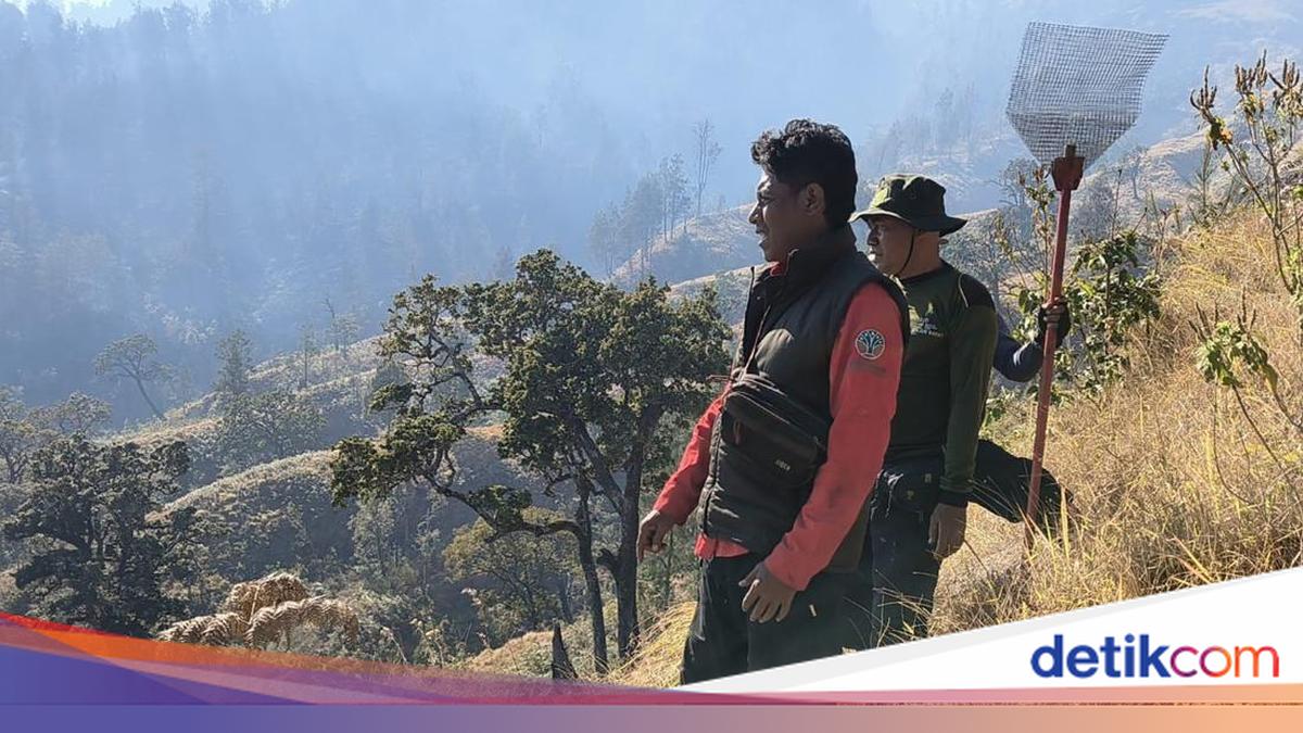 Forest Fires at Mount Rinjani Gradually Extinguished, Cause Remains Mysterious