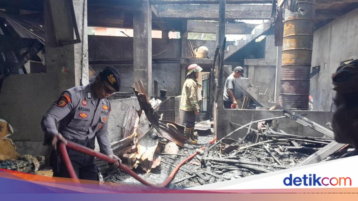 Seven Pigs Perish in Feed Production Facility Fire in Gianyar