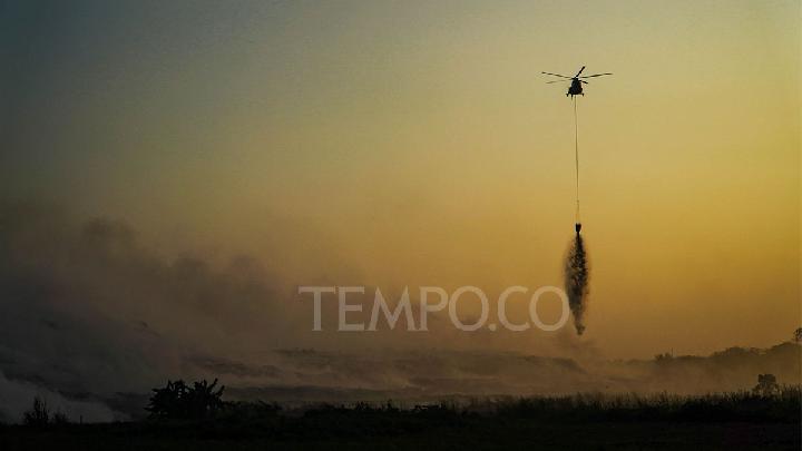 Helicopter Water Bombing Is Ineffective in Extinguishing Peatland Fires