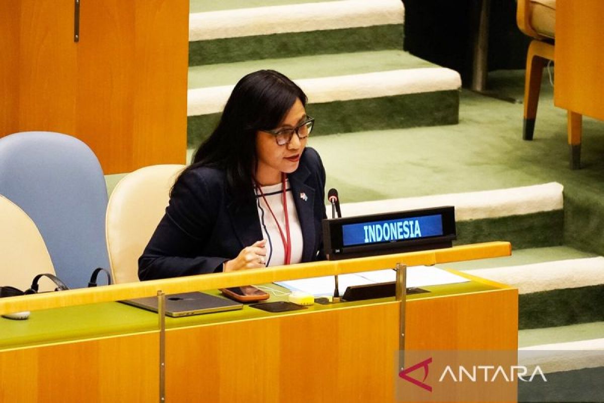 Indonesia Rejects Allegations of Systematic Human Rights Violations in Papua