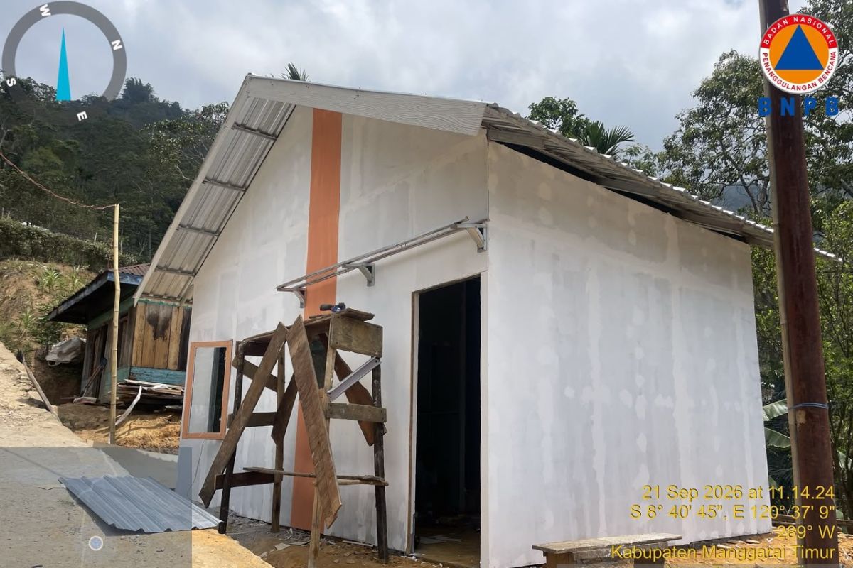 BNPB: Temporary housing for NTT earthquake survivors being built in stages