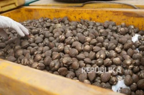 Jagoi Babang Customs Facilitates Fisheries Exports to Malaysia, Valued at Rp 16.09 Billion