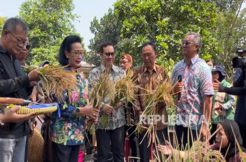 Swa Katon Asri Farmers' Group Uses Used Water Gallons as Rice Planting Media