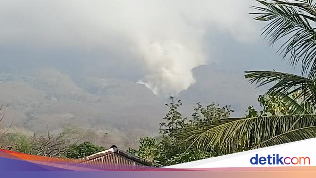 Ile Lewotolok Erupts Again, Lava Flow Scorches Vegetation on Mountain Slopes