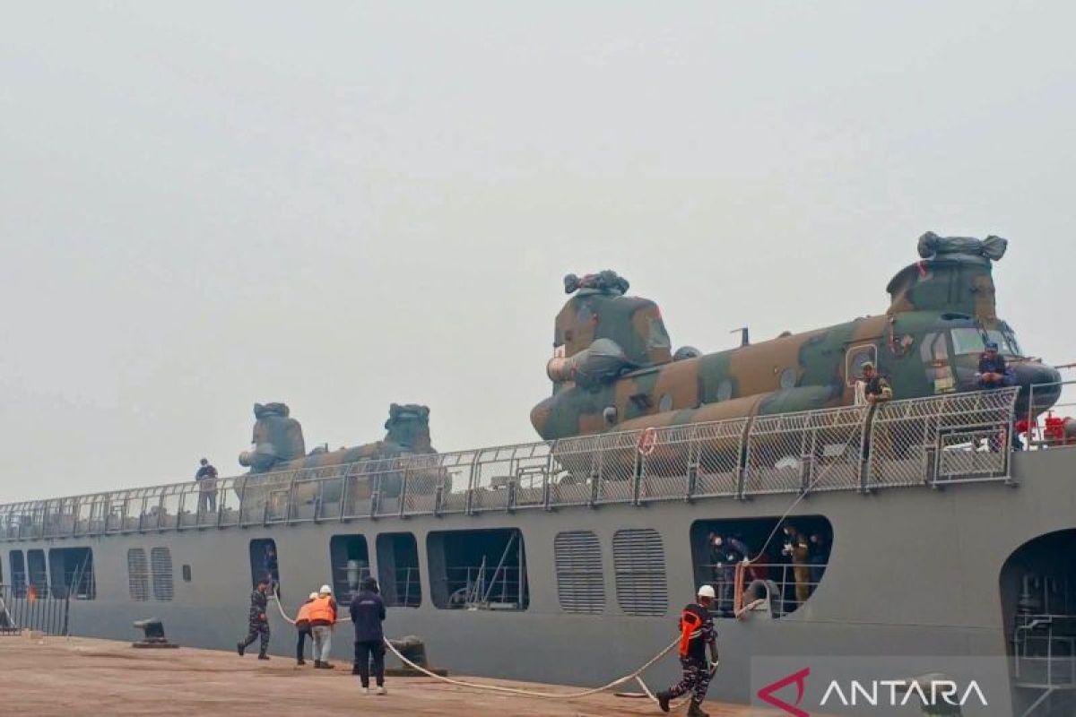 Japan concludes first overseas wildfire suppression mission in Indonesia