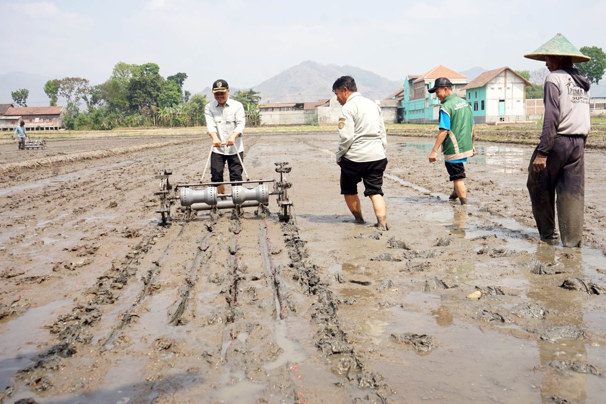 Tulungagung Regency Implements 'Tabela' Method Across 19 Agricultural Extension Centres